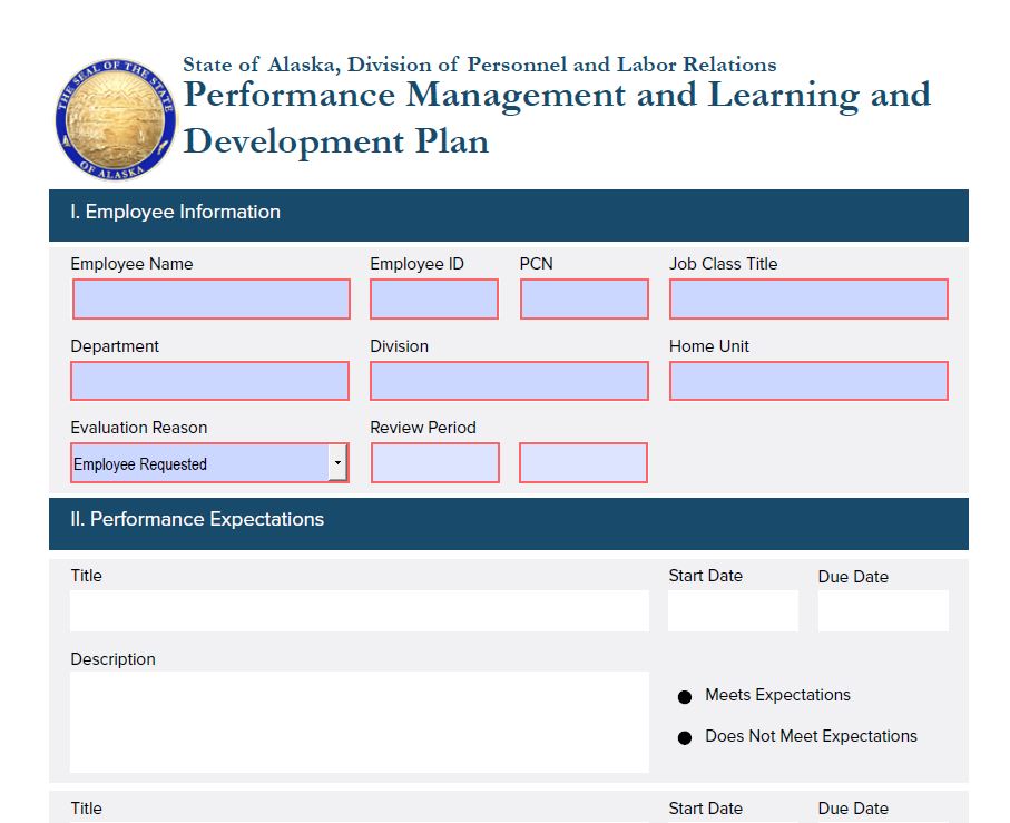 Performance Management and Learning and Development Plan form